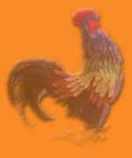 Rooster